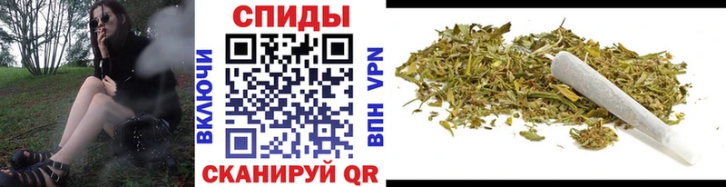 где купить   Гороховец  БУТИРАТ Butirat 