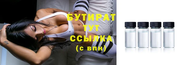 индика Балахна