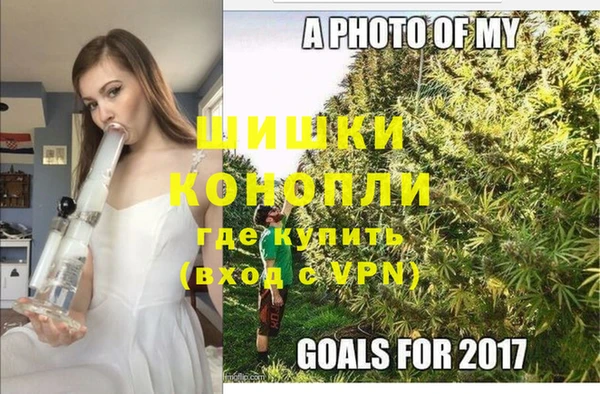 индика Балахна