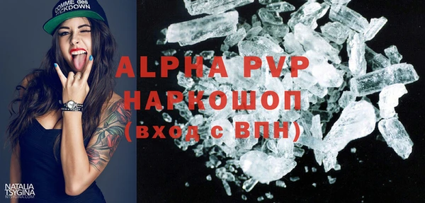 индика Балахна