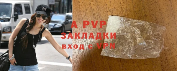 индика Балахна